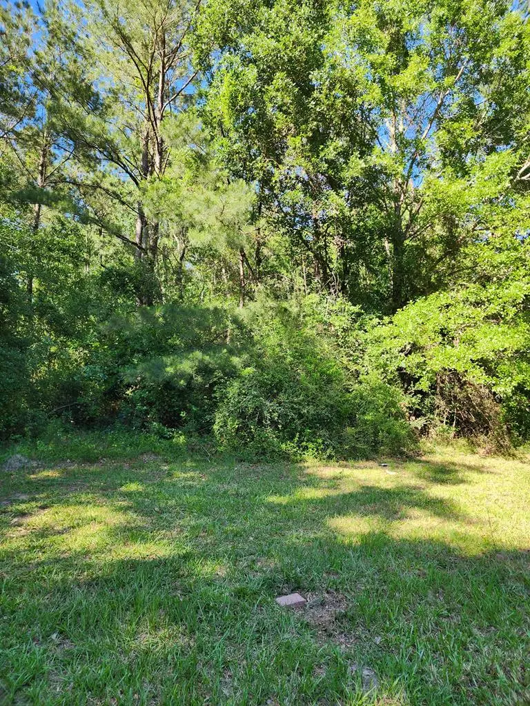 00 Chilton Lane, Picayune, MS 39466 - Image #3