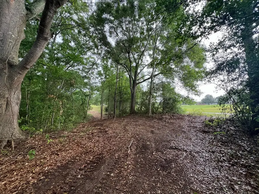 0 Rault Drive, Lumberton, MS 39455 - Image #2