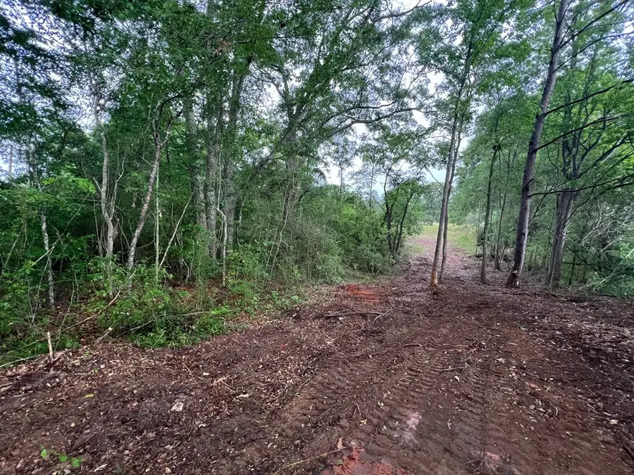 0 Rault Drive, Lumberton, MS 39455 - Image #3