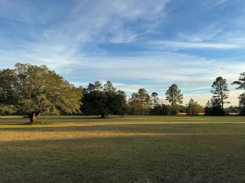 20 Anastasia Dr., Carriere, MS 39426 - #1