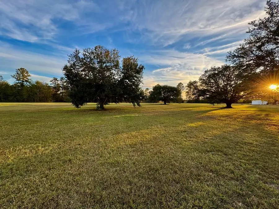 20 Anastasia Dr., Carriere, MS 39426 - #3