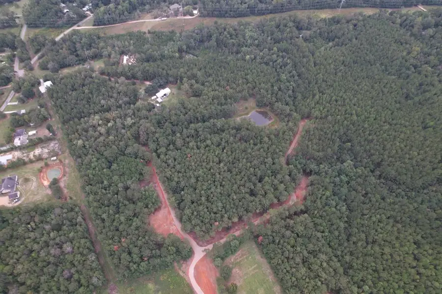 00 TRACT # 10 Burgetown Rd, Carriere, MS 39426 - Image #3