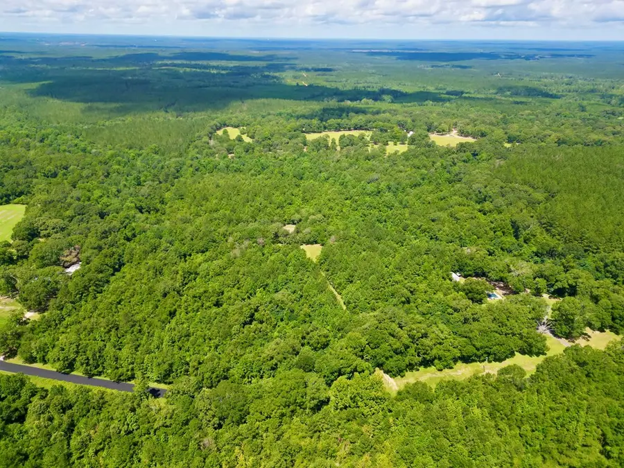 00 Gumpond Beall Road, Lumberton, MS 39455 - Image #3