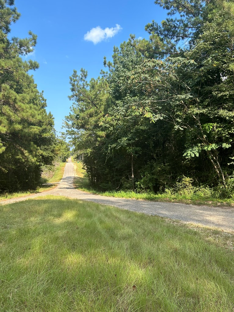 65 Serenity Lane, Poplarville, MS 39470 - Image #3