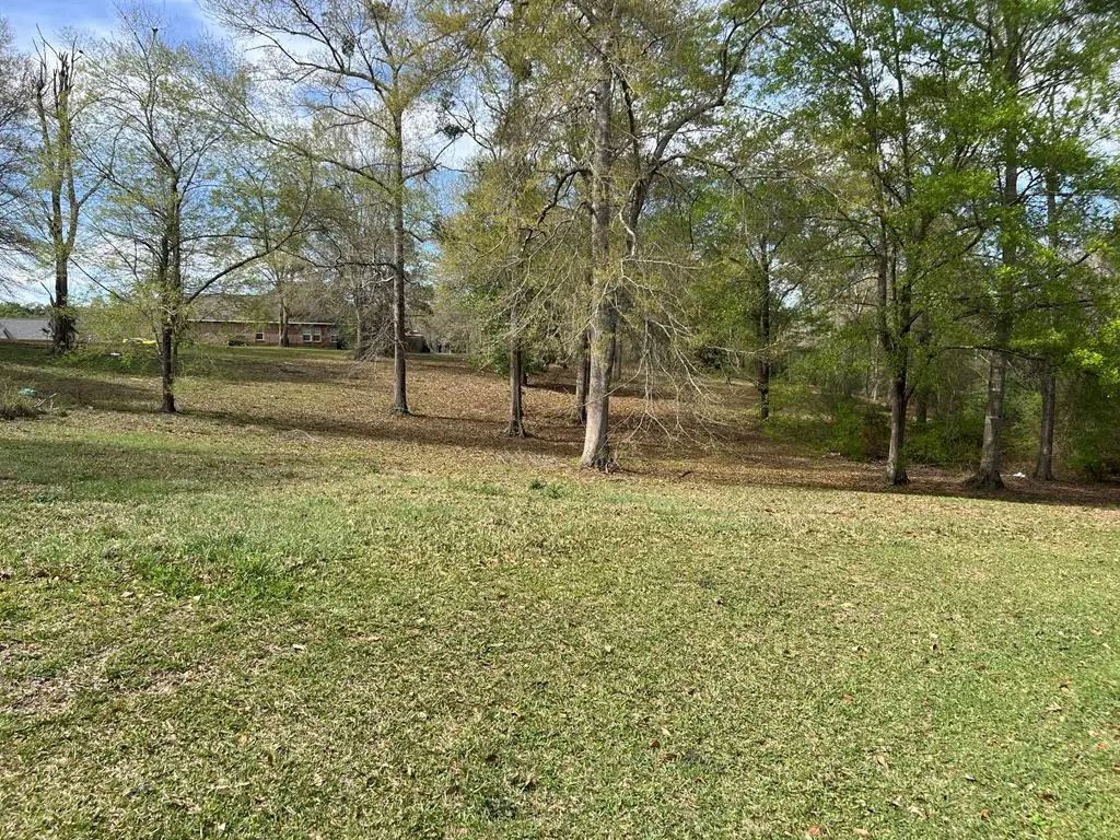 00 LAKESHORE DR., Carriere, MS 39426 - Image #1