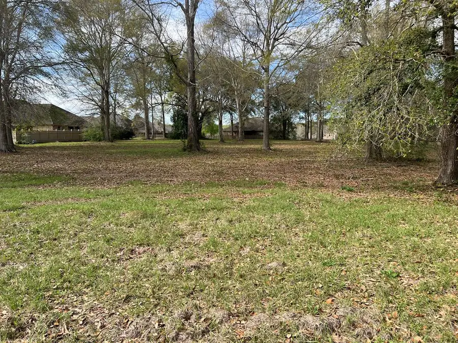 00 LAKESHORE DR., Carriere, MS 39426 - Image #2