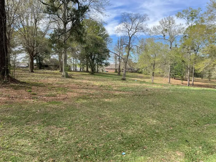 00 LAKESHORE DR., Carriere, MS 39426 - Image #3