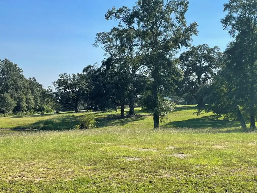 1452c Caesar rd, Carriere, MS 39426 - #2