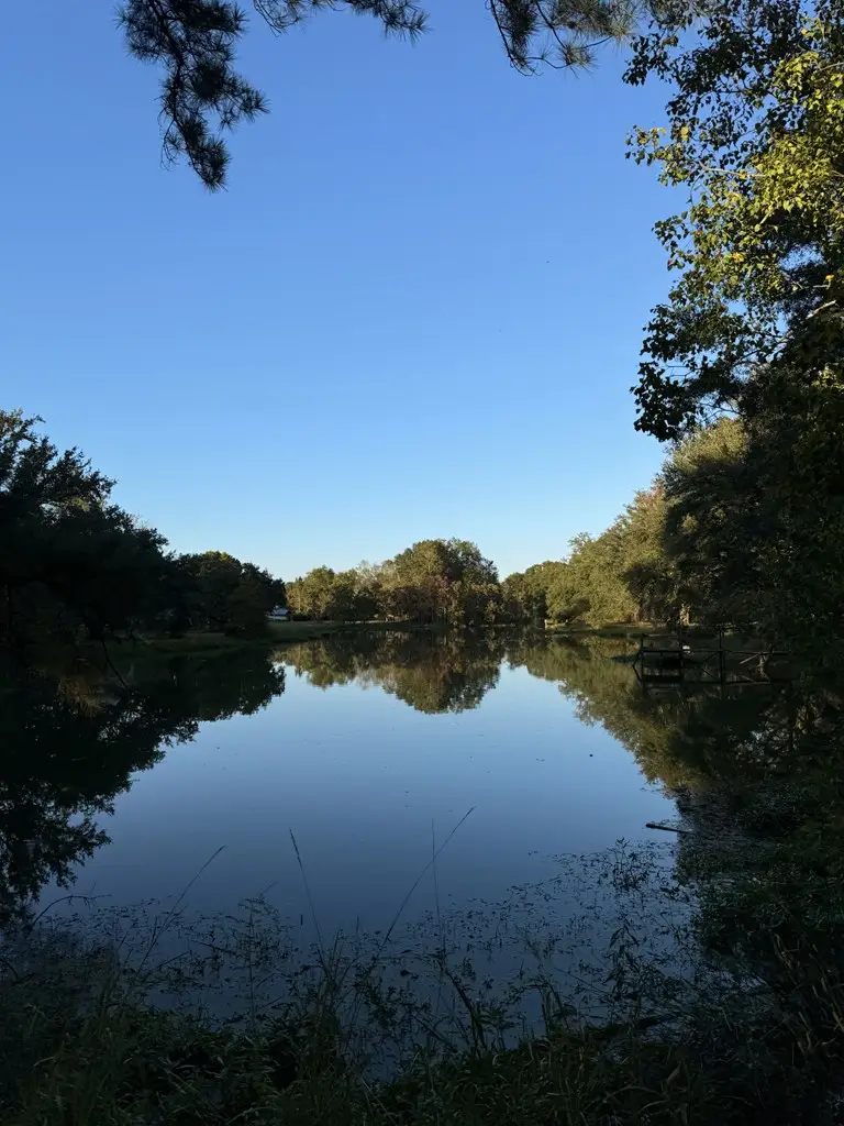 NHN Arrowheard drive, Picayune, MS 39466 - Image #3