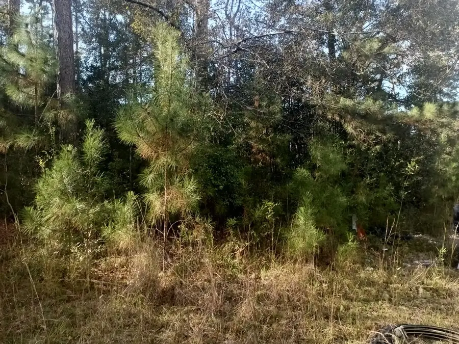 0 George Mitchell Rd., Carriere, MS 39426 - Image #2