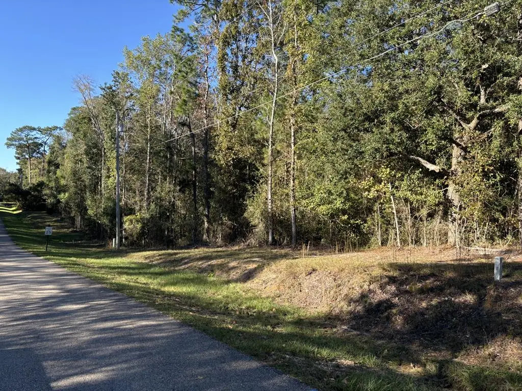 0 Ridgeview Dr, Carriere, MS 39426 - Image #1