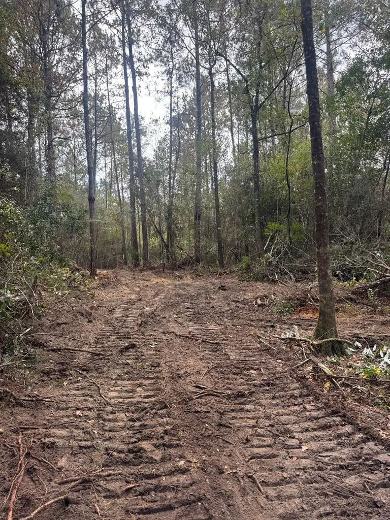 0 Dupont Harts Chapel Rd, Poplarville, MS 39470 - Image #2