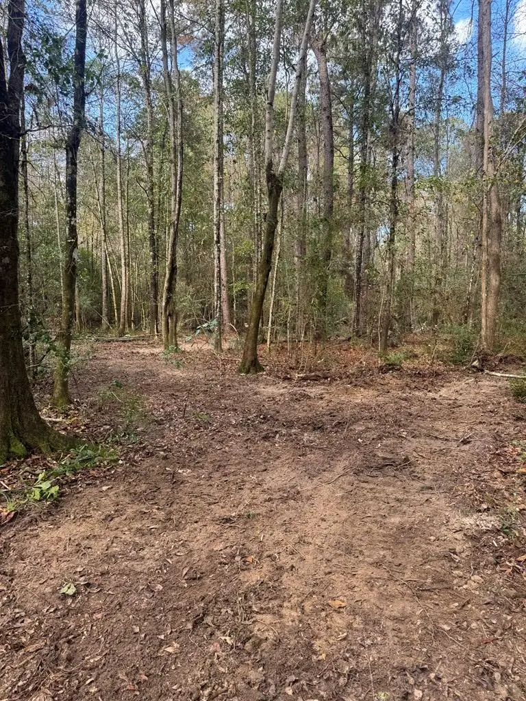 0 Dupont Harts Chapel Rd, Poplarville, MS 39470 - Image #3