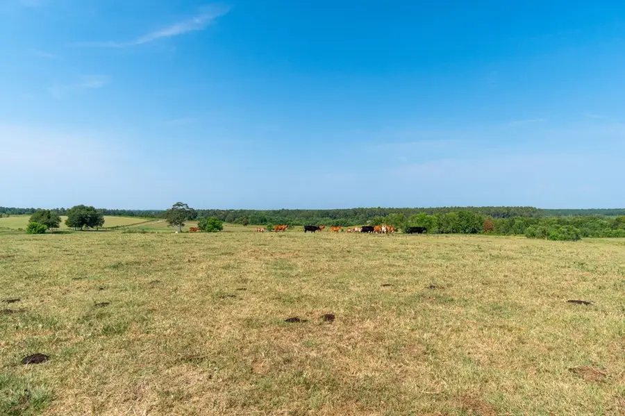 NHN Osborn Moody Rd, Poplarville, MS 39470 - #3