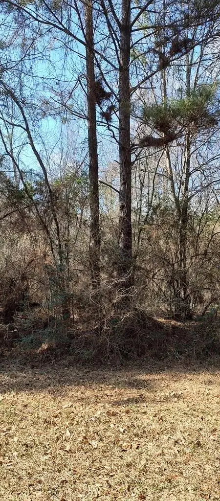 NHN Pecan Drive, Lumberton, MS 39455 - #2