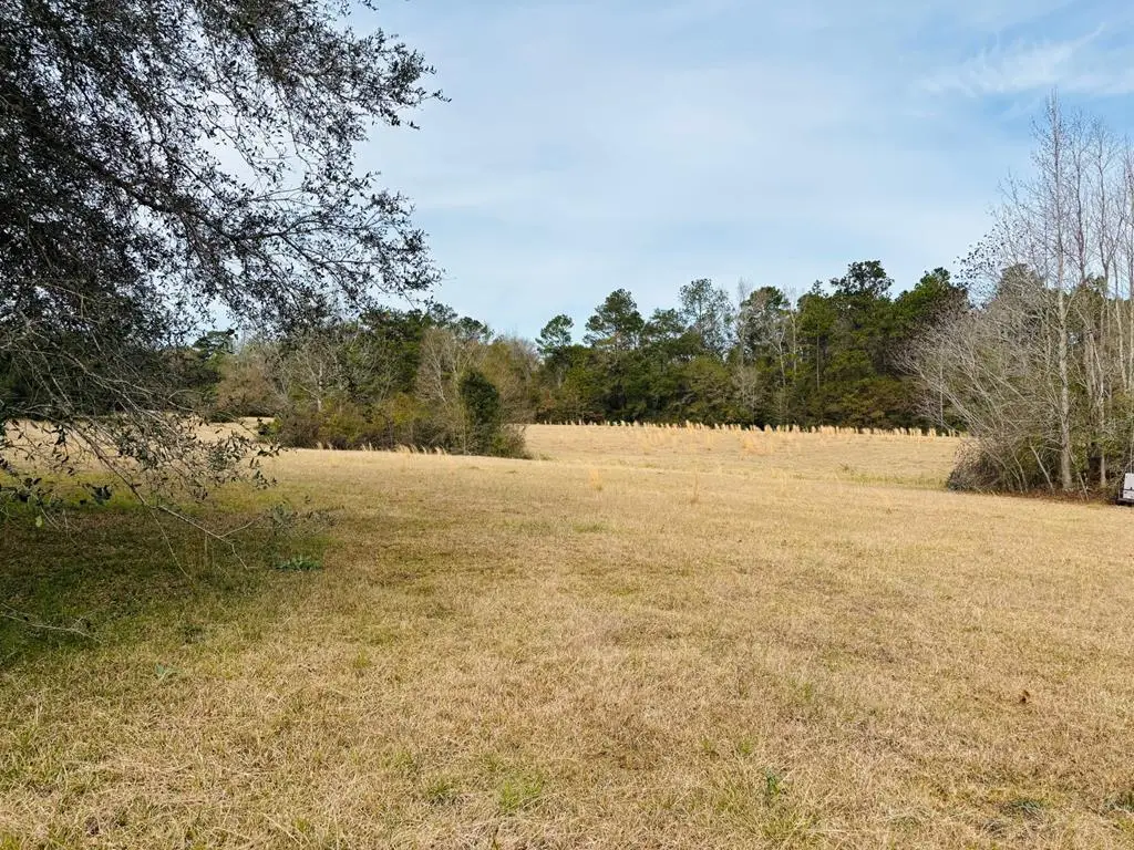 0 Leanne Dr Lot 32, Carriere, MS 39426 - Image #1