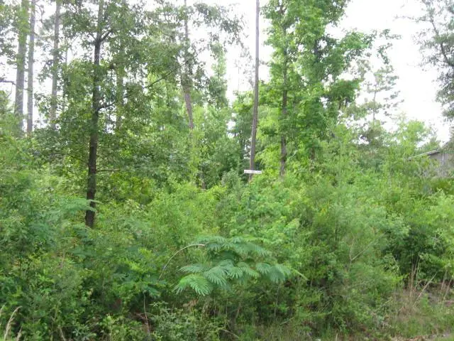 0 Hideaway Lane Lot 267, Carriere, MS 39426 - Image #1