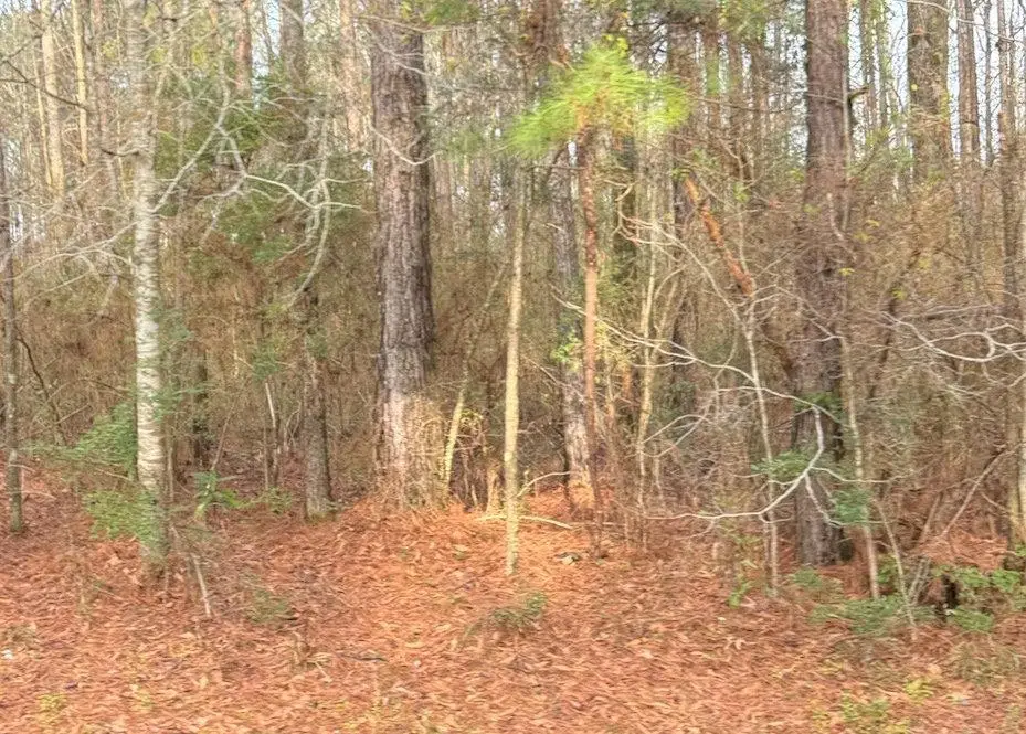 0 Hideaway Lane Lot 295, Carriere, MS 39426 - Image #1