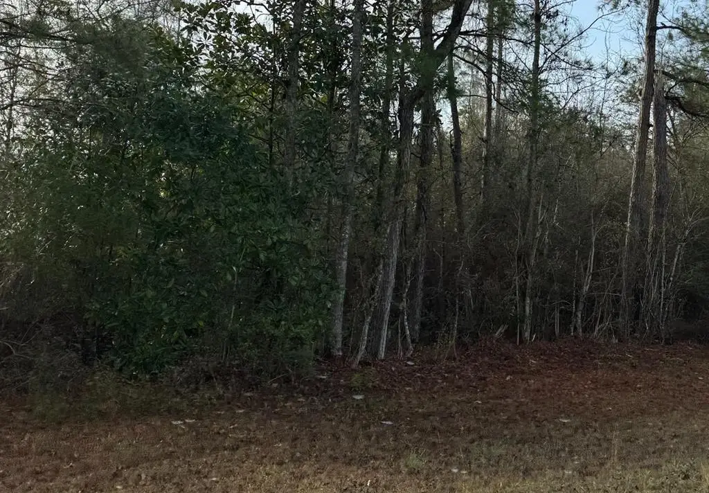 0 Hideaway Lane Lot 296, Carriere, MS 39426 - Image #1