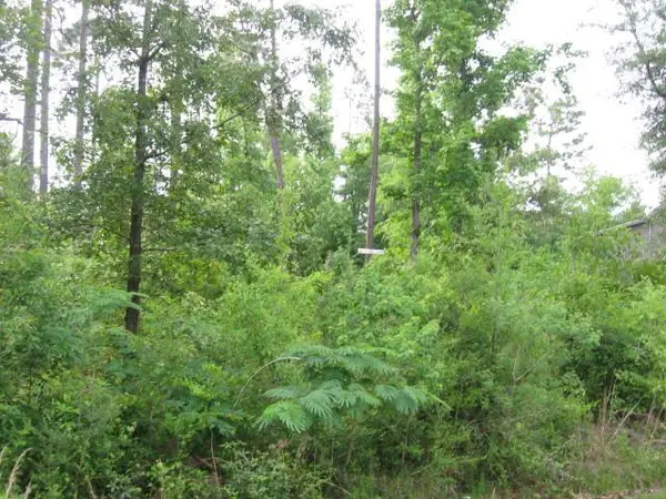 0 Millbrook Lane Lot 1072, Carriere, MS 39426
