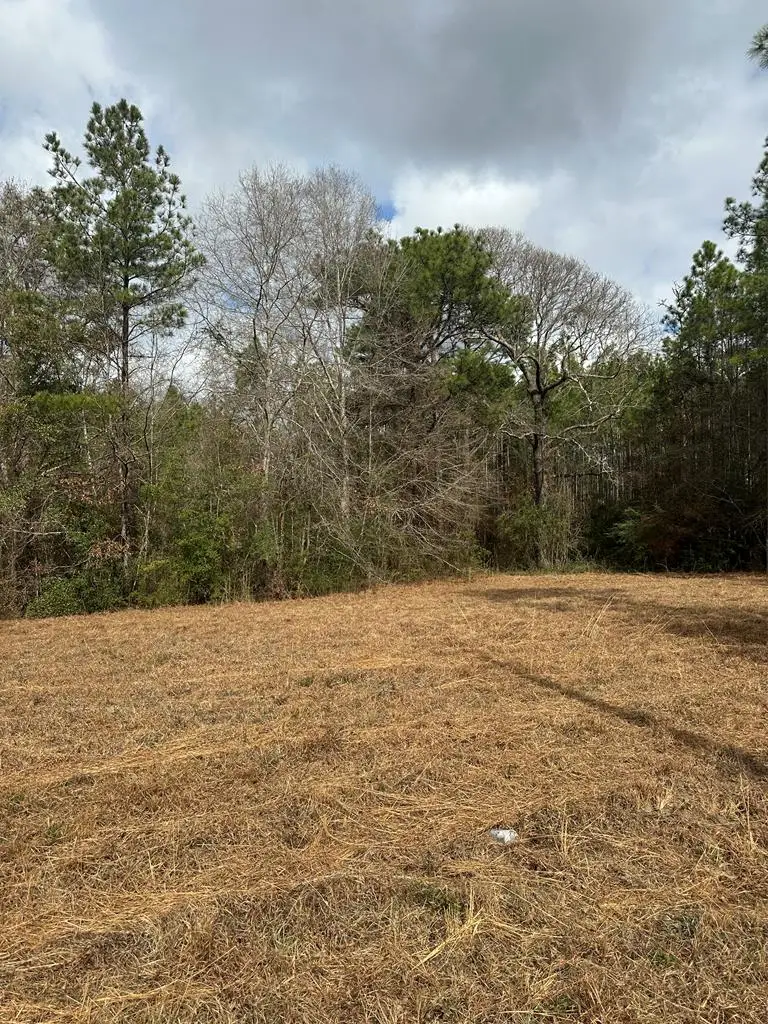 0 Bisbee Drive, Lumberton, MS 39455 - Image #3