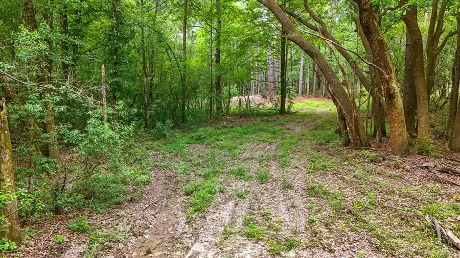 152 George Ford Rd., Carriere, MS 39426 - Image #3