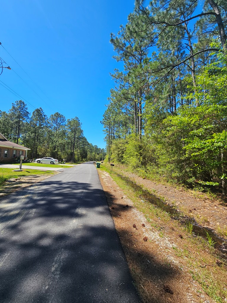 NHN E Carroll St, Bay Saint Louis, MS 39521 - #3