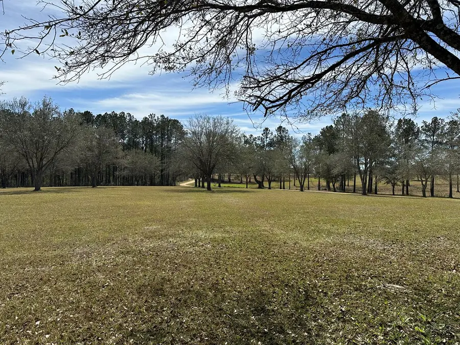 0 New Arbor Rd N, lot 1B, Poplarville, MS 39470 - Image #2