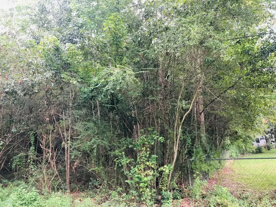 NHN Katie Beck Dees Street Lot 3,4 & 5, Picayune, MS 39466 - Image #2