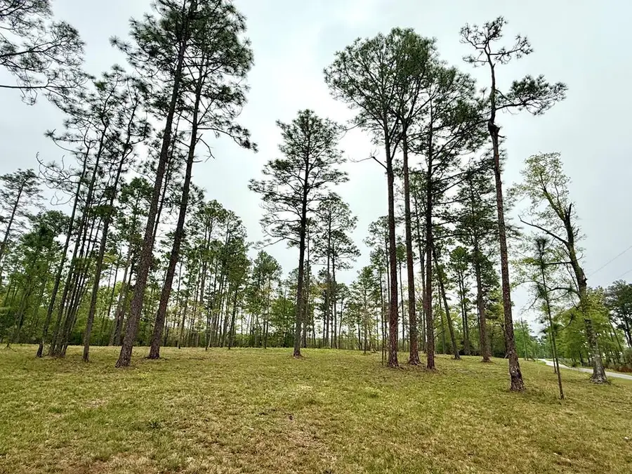 3.38 Cowart Holliday Road, Poplarville, MS 39470 - Image #2