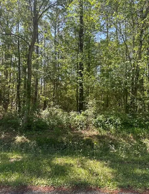 Lot 42 E. Lamar Street, Bay St Louis, MS 39520