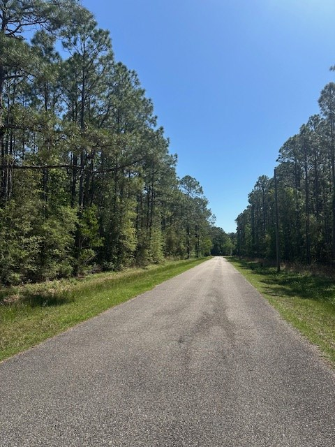 Lot 16 E. Kemper, Bay Saint Louis, MS 39520 - #2