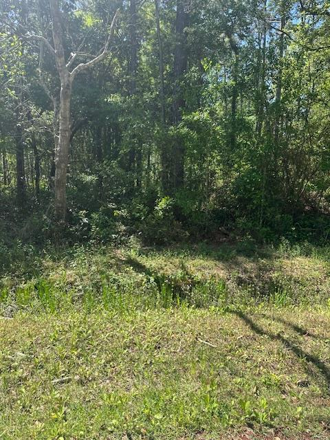 Lot 38 E. Lamar Street, Bay Saint Louis, MS 39520 - Image #1