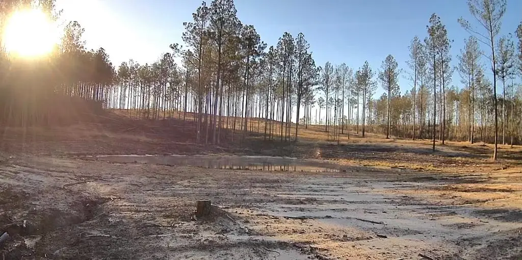 00 Mill Creek Road, Poplarville, MS 39470 - #1