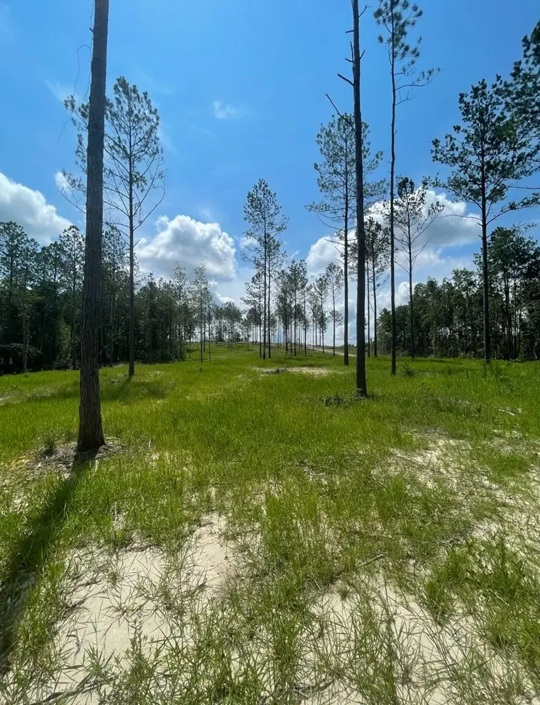 00 Mill Creek Road, Poplarville, MS 39470 - #3