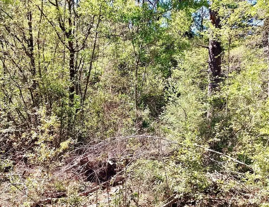 NHN Magee Lane Lot 220, Lumberton, MS 39455 - Image #2