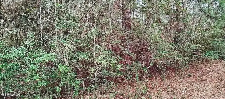 NHN Magee Lane Lot 220, Lumberton, MS 39455 - Image #3