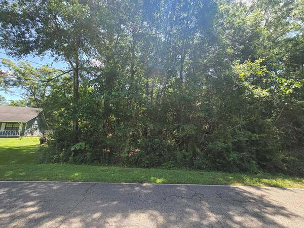 116 EAST SUNNYBROOK RD, Carriere, MS 39426