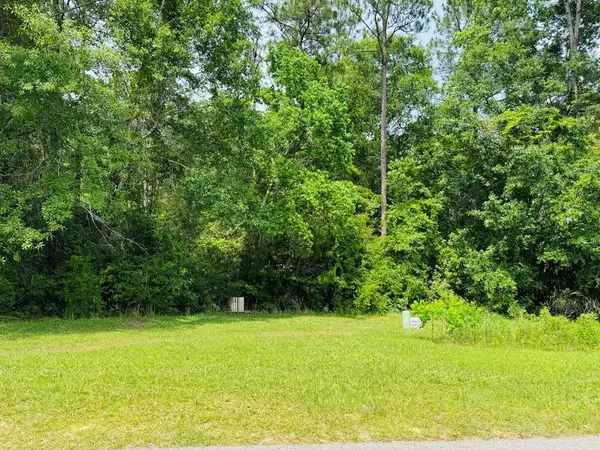 Lot 82 Spring Oak Dr., Carriere, MS 39426