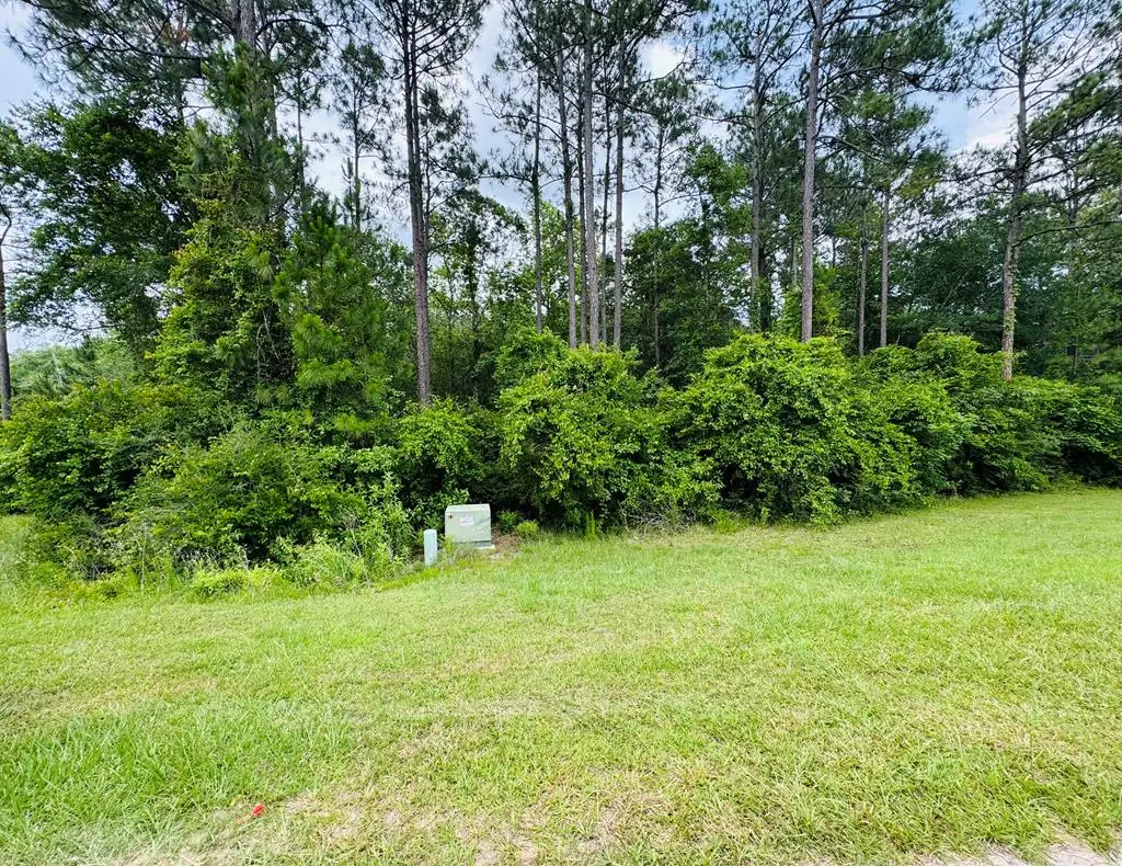 Lot 79 Spring Oak Dr., Carriere, MS 39426 - Image #1