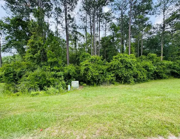 Lot 79 Spring Oak Dr., Carriere, MS 39426