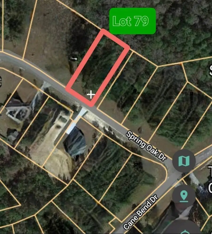 Lot 79 Spring Oak Dr., Carriere, MS 39426 - Image #2