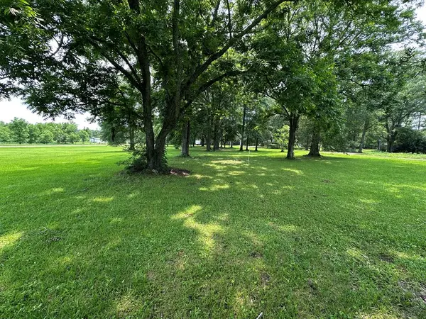 353 Old Hwy 24 W, Foxworth, MS 39643