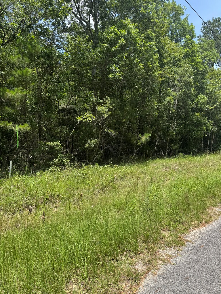 00 Shenandoah Rd, Poplarville, MS 39470 - Image #2