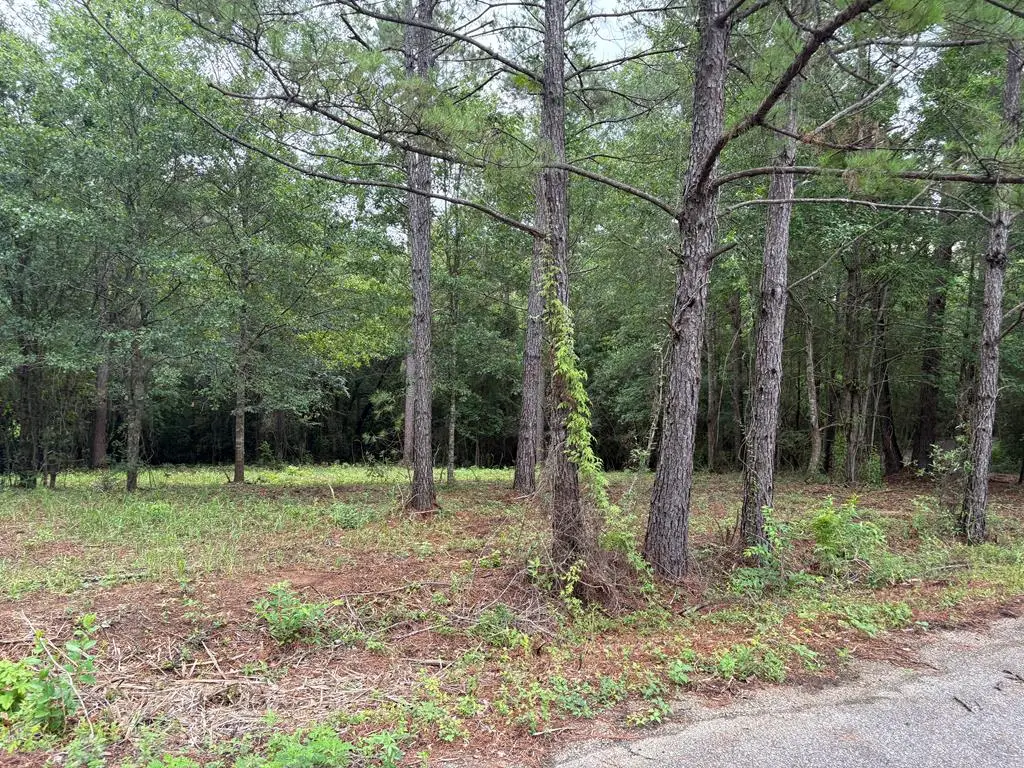 13 Pocahontas Lane, Carriere, MS 39426 - Image #1