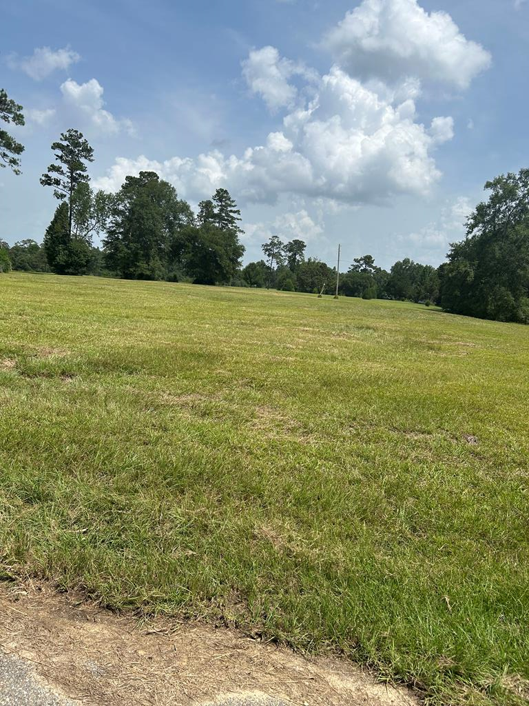 6157 Hwy 43 North, Carriere, MS 39426 - Image #1