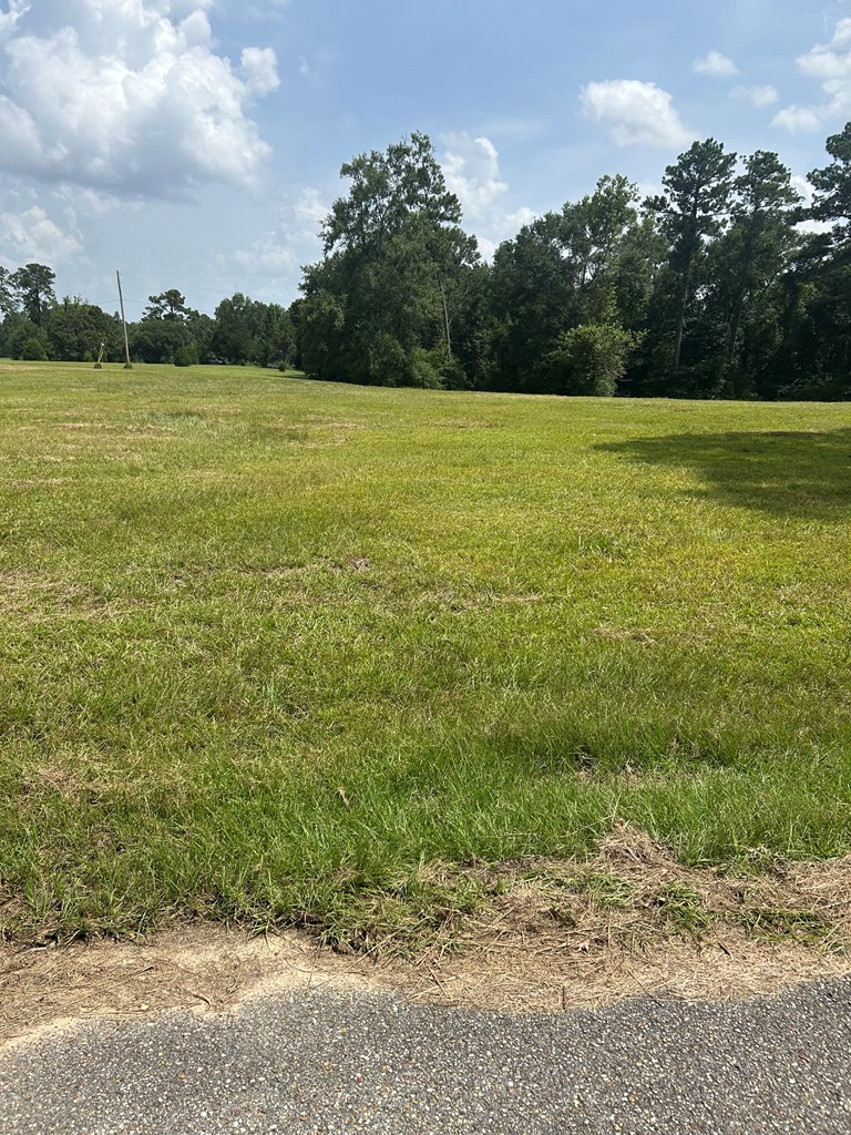 6157 Hwy 43 North, Carriere, MS 39426 - Image #2