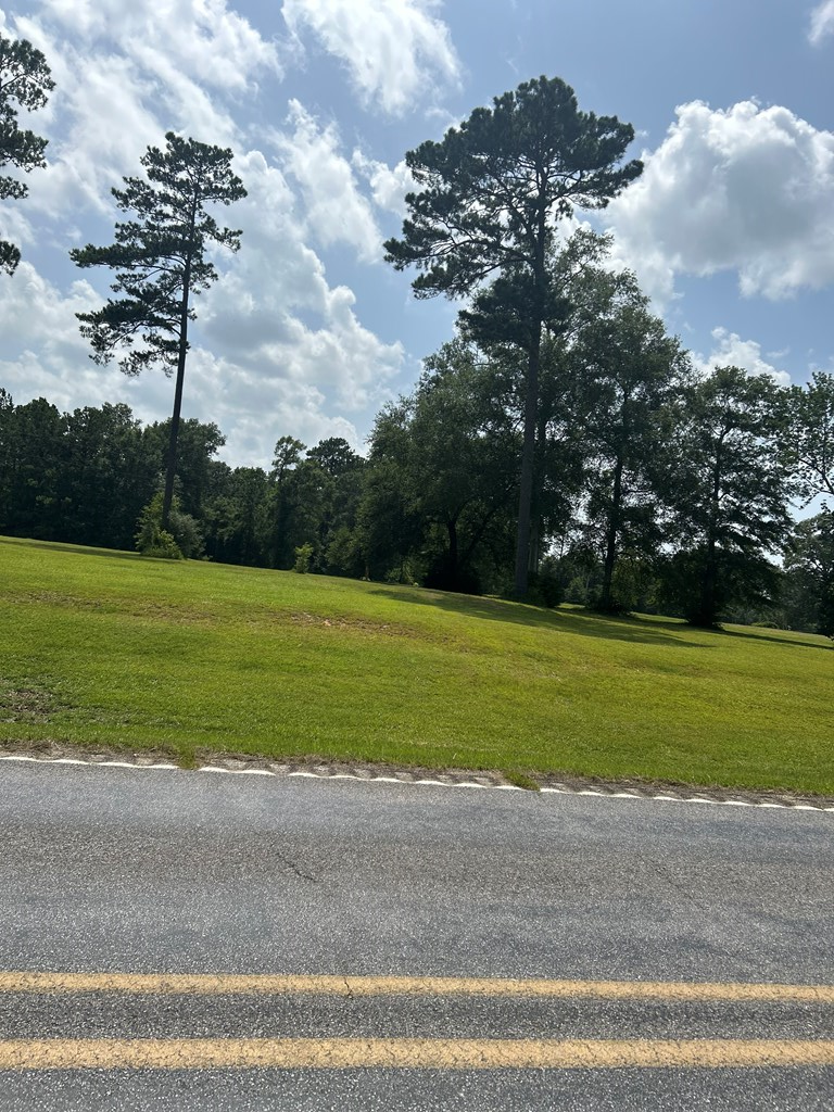 6157 Hwy 43 North, Carriere, MS 39426 - Image #3