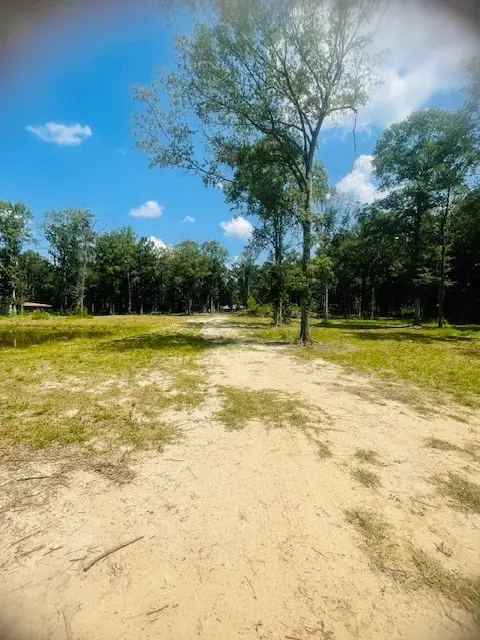 Nhn Lawrence St, Picayune, MS 39466 - Image #2