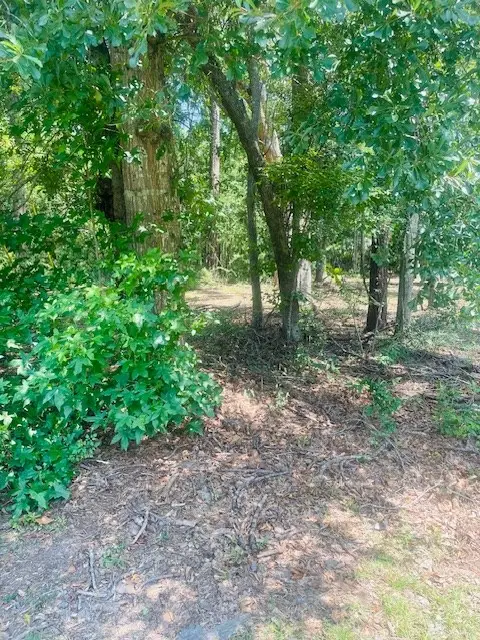 Nhn Lawrence St, Picayune, MS 39466 - Image #3